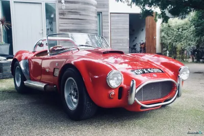Cobra