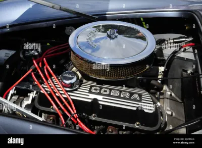 Cobra