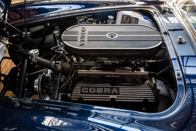 Cobra