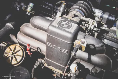 B11