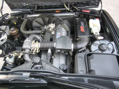 B11