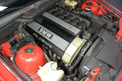 B6
