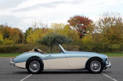 Healey