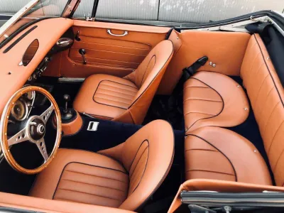 Healey