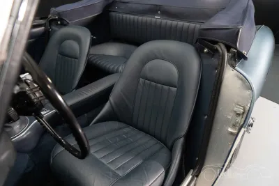 Healey