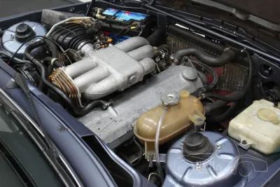 323
