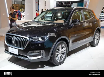 BX5