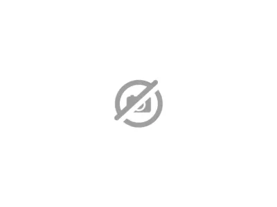 Ahorn