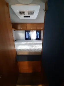 Linne-Liner