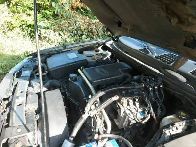 Alero