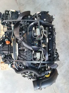 DS4
