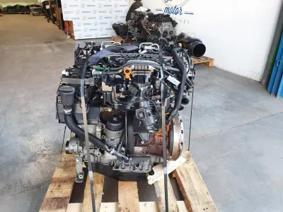 DS4