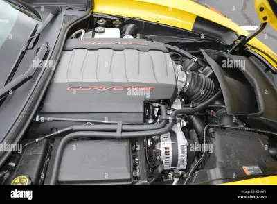 C7
