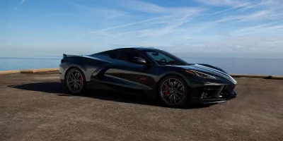 Stingray