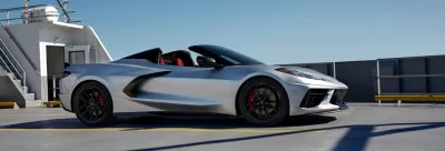 Stingray