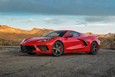 Stingray