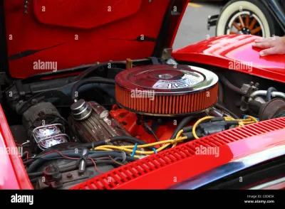 Stingray