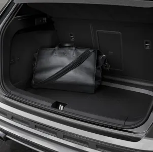 Ateca