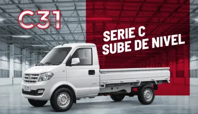 C31