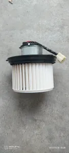 V21