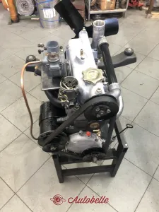 Topolino