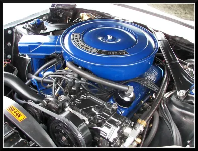Cougar