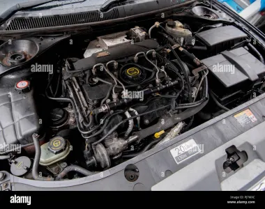 Mondeo