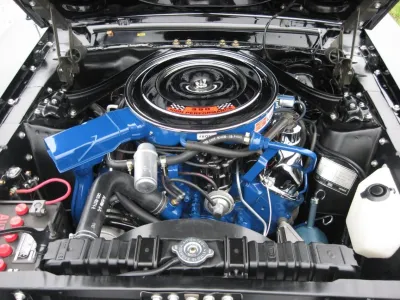 Mustang