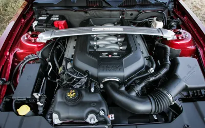 Mustang
