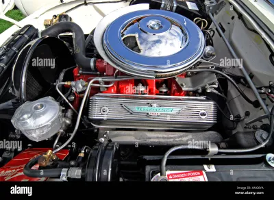 Thunderbird