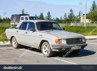 31029