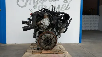FR-V