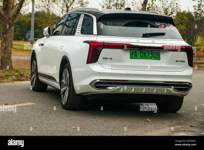 E-HS9