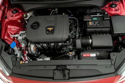 Cerato