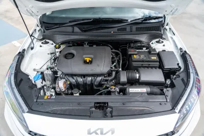 Cerato