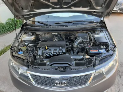 Cerato