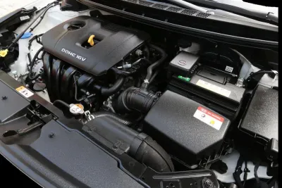 Cerato