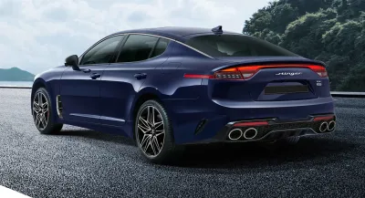 Stinger