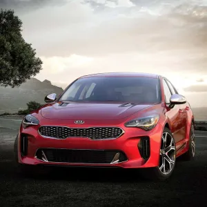 Stinger