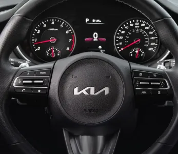 Stinger