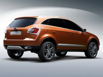 C-Cross