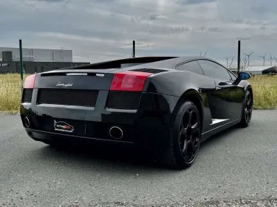 Gallardo