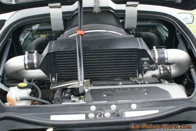 Exige