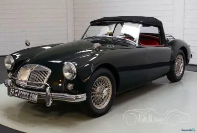 MGA