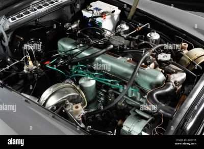 MGC