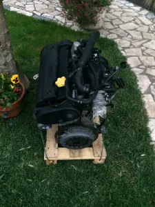 TF