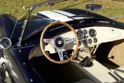 Cobra