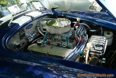 Cobra
