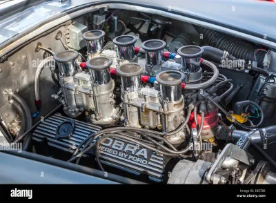 Cobra