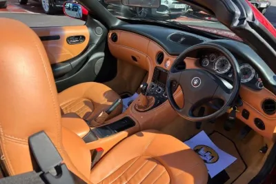 Spyder